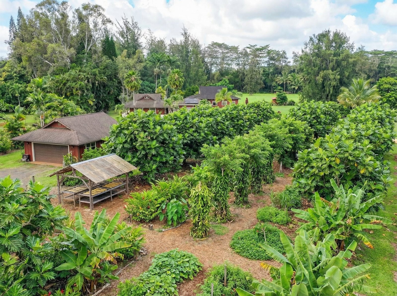 Vision: Agroforestry aerial